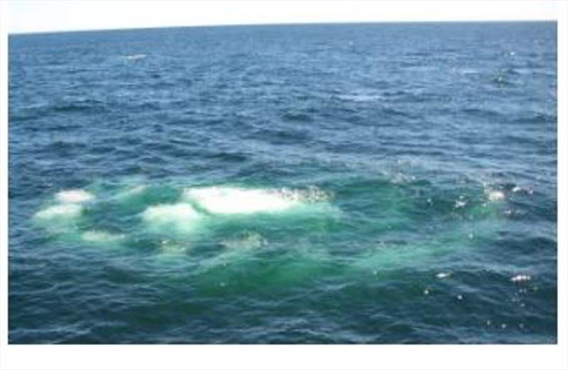 A feeding whale's bubbles at the surface - photo © Whale and Dolphin Conservation