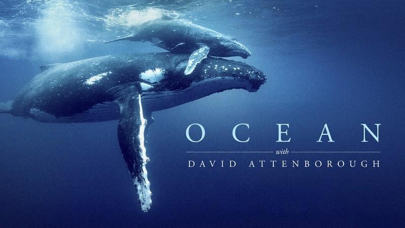 Ocean with David Attenborough - photo © The Ocean Race