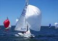 Metung fleet boat Odyssey AUS1254 ahead of Mens Shirts Short Skirts AUS1141, from Cruising Yacht Club of Australia, on the downwind leg with spinnakers flying. They were competing in the Etchells 2025 Australian championship, on Lake King at Metung © Jeanette Severs