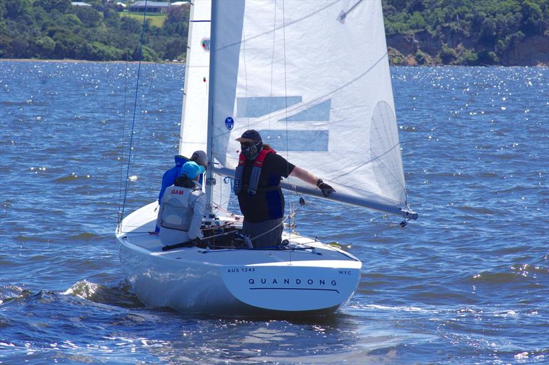 2025 Australian Etchells Championship: Niesje Hees, helming Quandong, will be sailing with her regular crew of Josh Reid and Cliff Gibson - photo © Jeanette Severs