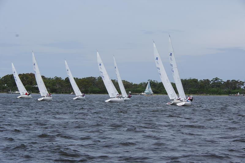 Most of the yachts in the Metung Etchells fleet will contest the 2025 Australian championship - photo © Jeanette Severs