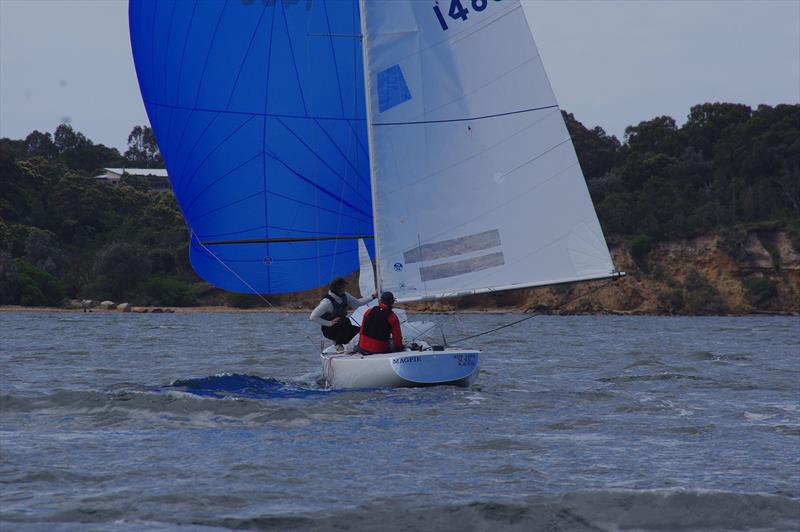 Magpie AUS1486 with spinnaker up and crewed by World and Australian champion Graeme GT Taylor (helm), Ben Lamb and James Mayo, on the last leg of yesterday's race - photo © Jeanette Severs