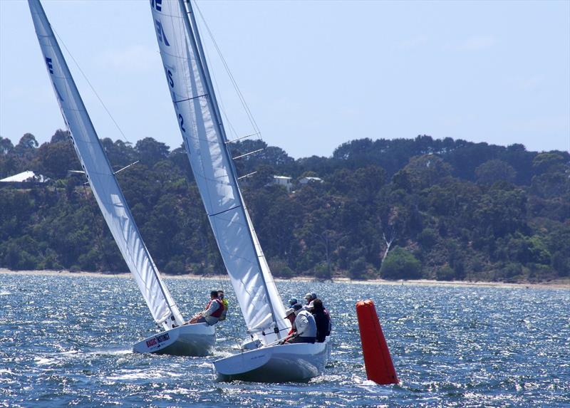 Metung fleet boats Basic Instinct AUS1122, AUS1292 and (in front of 1292) Apres La Mer AUS923, competing in the Etchells 2025 Australian championship, held at Metung, on Lake King - photo © Jeanette Severs