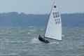 Alex Scoles sailing his Idol Composites boat in 25+ knots - Europe class Open and Youth Championships at Stokes Bay © Jennie Clark