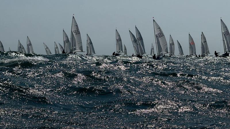 Firefly Nationals 2025 at Lyme Regis - photo © David Beer