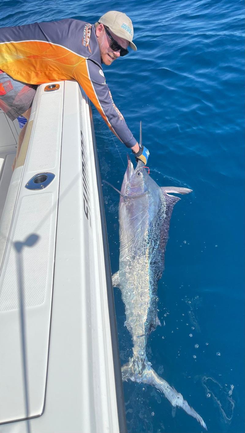 Andrew with another black marlin on a Pakula skirt that was rigged up in store photo copyright Fisho's Tackle World taken at  and featuring the Fishing boat class