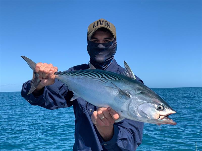 Jackson Sewell with a mac tuna that was spun up on a 5` Zman Streakz - photo © Fisho's Tackle World