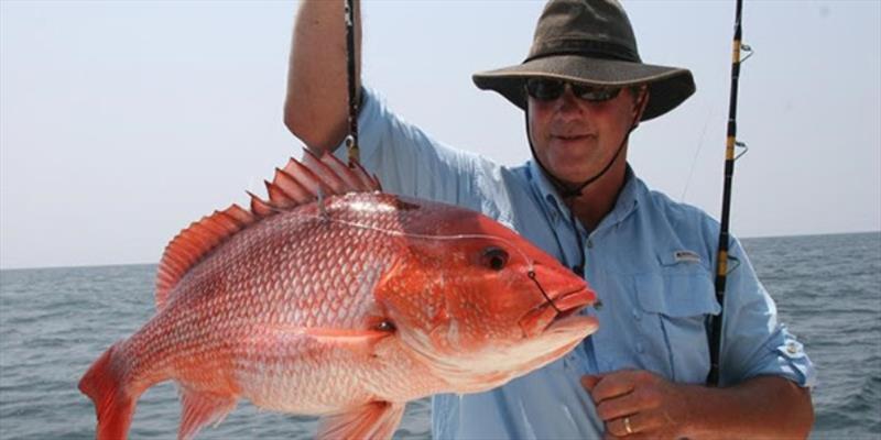 Bipartisan Red Snapper Bill introduced photo copyright American Sportfishing Association taken at  and featuring the Fishing boat class