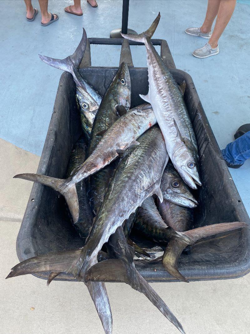 Record-Breaking 2023 Old School Kingfish Shootout