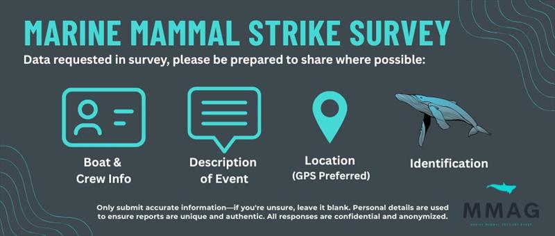 How you can take action to protect marine biodiversity - photo © Marine Mammal Advisory Group