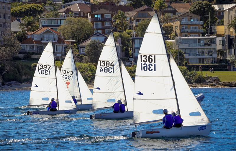 Flying 11s at Manly 16ft Skiff Sailing Club photo copyright SailMedia taken at Manly 16ft Skiff Sailing Club and featuring the Flying 11 class