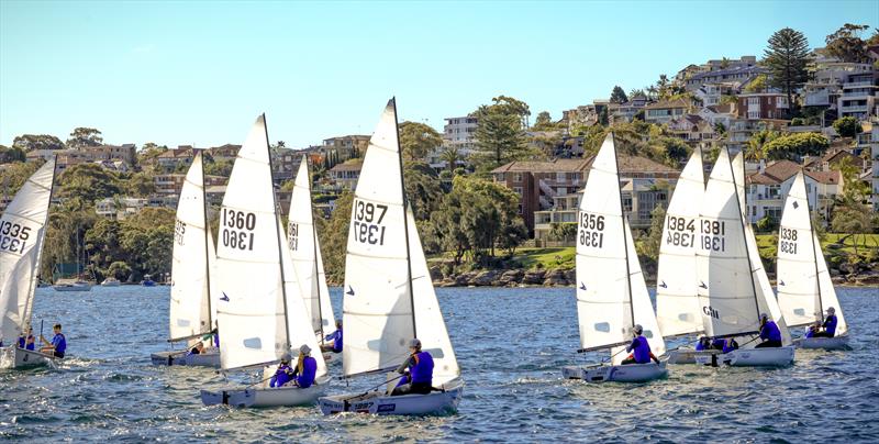 Flying 11s at Manly 16ft Skiff Sailing Club photo copyright SailMedia taken at Manly 16ft Skiff Sailing Club and featuring the Flying 11 class