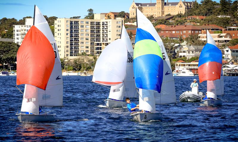 Flying 11s at Manly 16ft Skiff Sailing Club photo copyright SailMedia taken at Manly 16ft Skiff Sailing Club and featuring the Flying 11 class