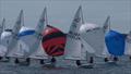 Flying Fifteen Irish Southern Championship at Killyleagh © Killyleagh YC