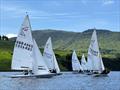 Dovestone Flying Fifteen Open © Nik Lever