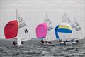 Flying Fifteen British Isles Championships 2024 at Strangford Lough © Simon McIlwaine / www.wavelengthimage.com