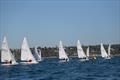 2025 Flying Fifteen Australian Nationals at Davey's Bay YC © Jacob Liebenberg