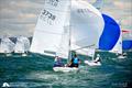 Fleet sailing downwind - 2025 New Zealand Flying 15 National Championship © Jacob Frewtrell / Bay of Island Sailing Week