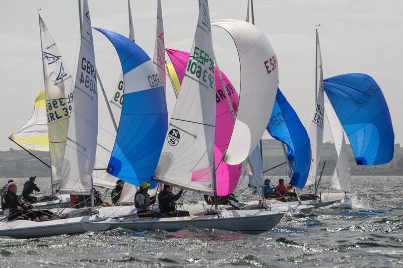 Flying Fifteen British Isles Championships 2024 at Strangford Lough - photo © Simon McIlwaine / www.wavelengthimage.com