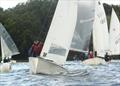 Brent Regatta 2024: Caro Mitchell and Sue Tomkins © Joy Walter, Welsh Harp Sailing Club