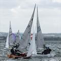 GP14 Championship of Ireland at Newtownards Sailing Club © Bob Given