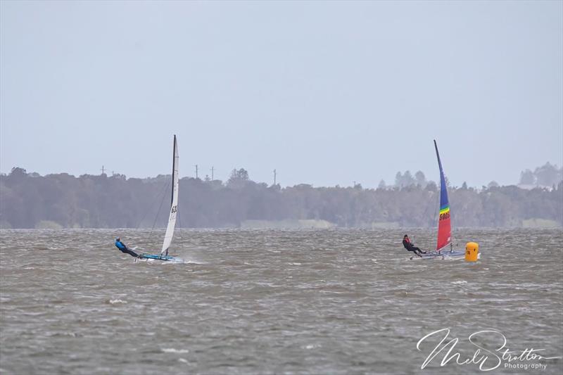 NSW Hobie Cat State Championships 2024 photo copyright Alannah Simpson taken at Toukley Sailing Club and featuring the Hobie 14 class