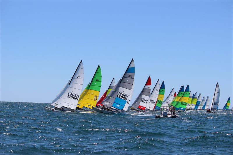 Hobie 16 racecourse action - photo © Kathy Miles