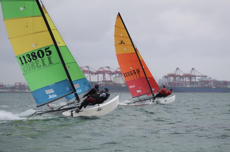 2023-24 NSW Hobie Cat State Championships at the Kurnell Catamaran Club - photo © Alannah Simpson