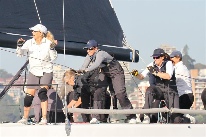 Melges IC37 arrives in Sydney - Training for NYYC's Women's International Championship begins - photo © Karyn Gojnich