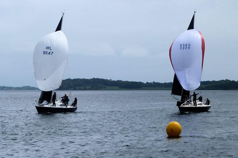 Impala European Championship at Strangford Lough - photo © EDYC