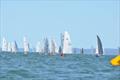 Fleet heading to the Wing Mark Heat 6 - 39th Impulse Australian Championship © Lou Hollis, Dave Taylor, Neale Maynard