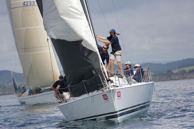 Day 1, CRC Bay of Islands Race Week, Bay of Islands, January 25, 2018 - photo © (c) Will Calver, oceanphotography.co.nz.