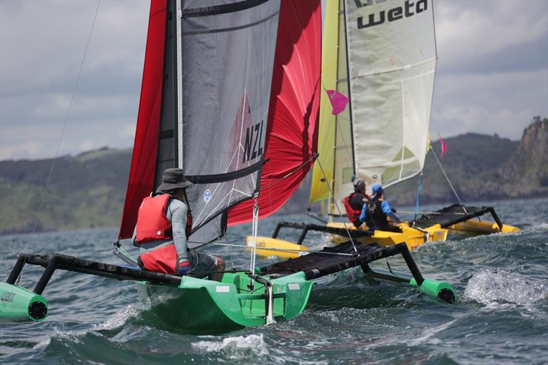 Day 1, CRC Bay of Islands Sailing Week, Bay of Islands, January 25, 2018 photo copyright Will Calver, oceanphotography.co.nz taken at Bay of Islands Yacht Club and featuring the IRC class