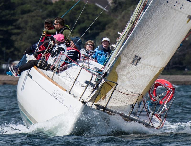 Velocity Meredith from MYC - Ladies of the Sea Coaching Regatta 2019 - photo © Margaret Fraser-Martin