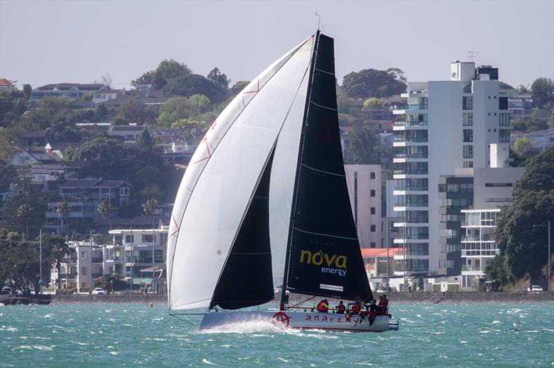 2019 White Island Race Start - photo © Richard Gladwell