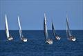 Scarborough North Sea Race to Holland © Fred Tiles