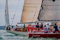 Taittinger Royal Solent Yacht Club Regatta © Tim Jeffreys