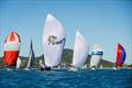 Hamilton Island Race Week © Salty Dingo