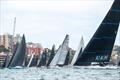 The fleet at the start of the 2024 ACSBWPS Bird Island Race - Bird Island Race  © Ashey Dart