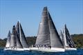 Division 1 - Khaleesi in foreground - Bullwinkle (sail no 9010) - Nautilus Marine Insurance Sydney Short Ocean Racing Championship 2024 © Andrea Francolini