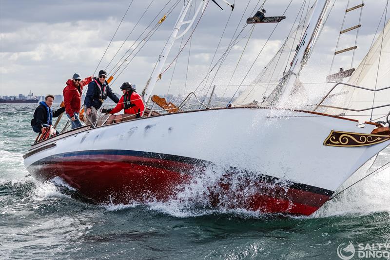 2024 Festival of Sails Passage Race - photo © Salty Dingo