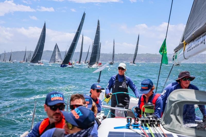 Ocean Crusaders J-Bird 2023 Sydney to Hobart Race photo copyright Craig Greenhill / www.saltydingo.com.au taken at Cruising Yacht Club of Australia and featuring the IRC class