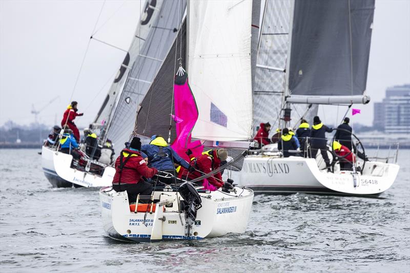 Salamander III in company with Jacobina and No Mans Land - Australian Women's Keelboat Regatta 2024 photo copyright Andrea Francolini taken at Royal Melbourne Yacht Squadron and featuring the IRC class