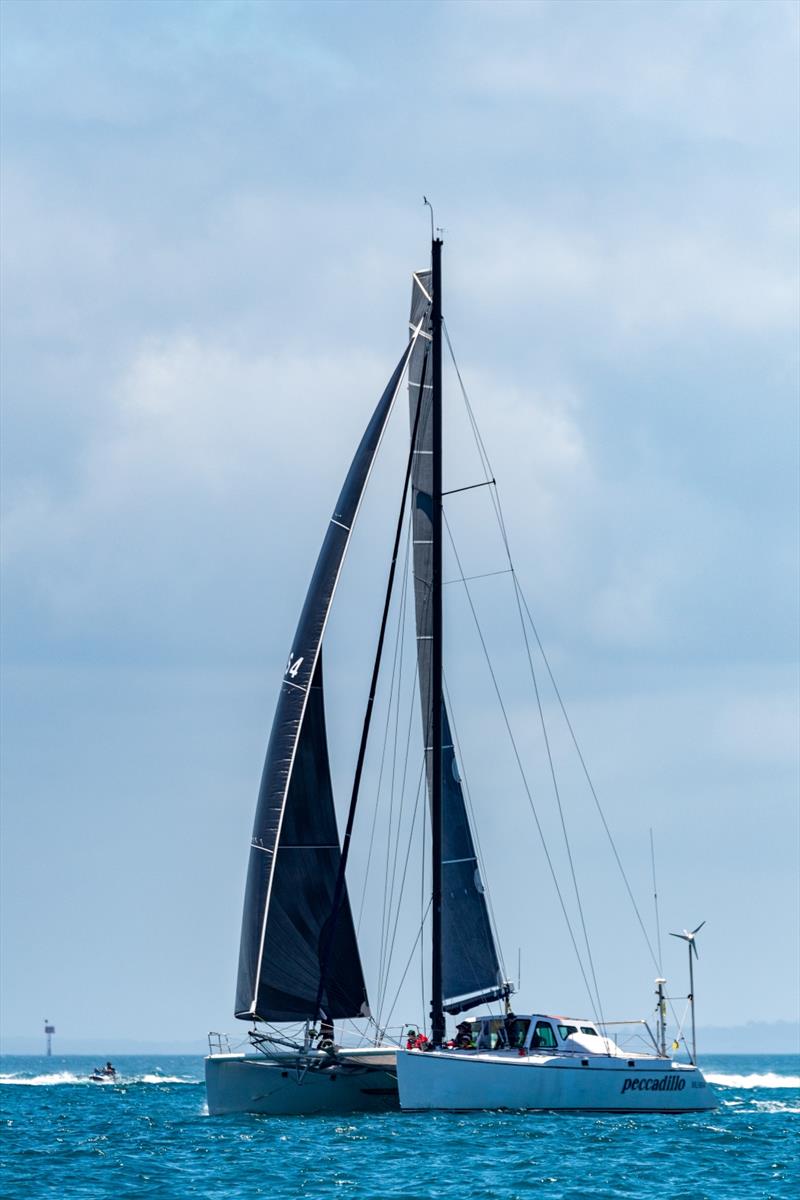 Multihull entrant Peccadillo looking to break again the record - Melbourne to Hobart Yacht Race - photo © Michael Currie