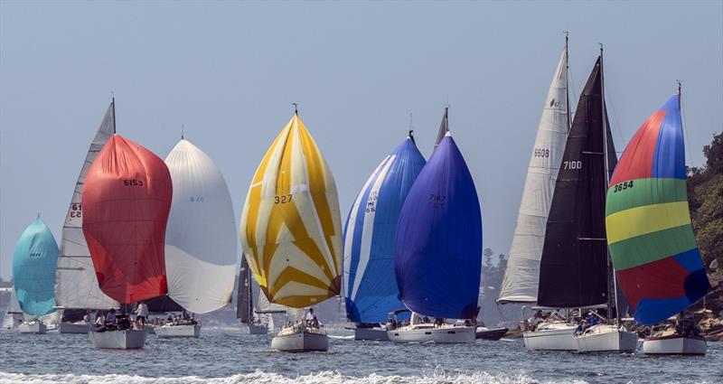 Performance Spinnaker divisions create a splash of colour - Nautilus Marine Insurance Sydney Harbour Regatta - photo © Margaret Fraser-Martin