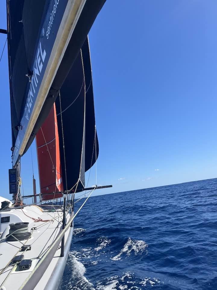 Alive poled out 3 jib system - Melbourne Osaka Cup photo copyright Alive Yachting taken at Ocean Racing Club of Victoria and featuring the IRC class