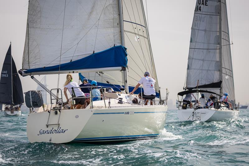 Dubai Offshore Sailing Club hosts Community Open Day - photo © Dubai Offshore Sailing Club