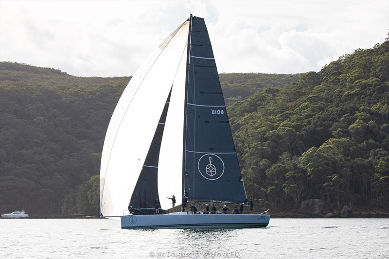 Highly Sprung in the 2026 Pallas Capital Gold Cup - photo © Nic Douglass for @sailorgirlHQ