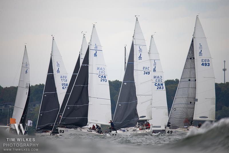 2024 J105 North American Championship - photo © Tim Wilkes Photography