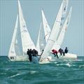 Lipton Challenge Cup 2025 &copy; Royal Cape Yacht Club